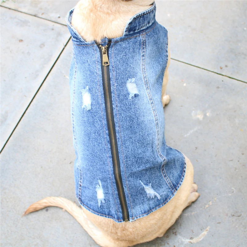 Ropa de verano para perros gra - Summer Clothing In French reseña y precio