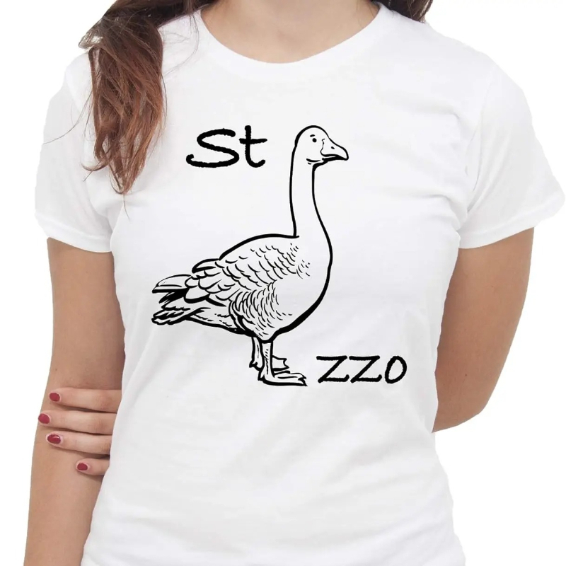 Camiseta IMage Goose Rebus, ca - Summer Clothing Images reseña y precio